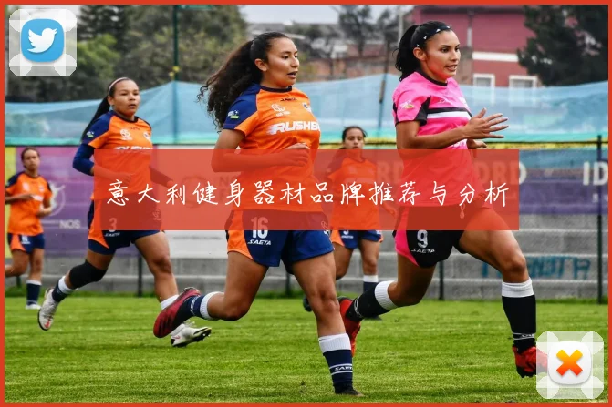 意大利健身器材品牌推荐与分析
