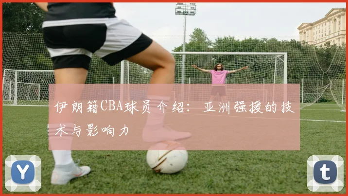 伊朗籍CBA球员介绍:亚洲强援的技术与影响力