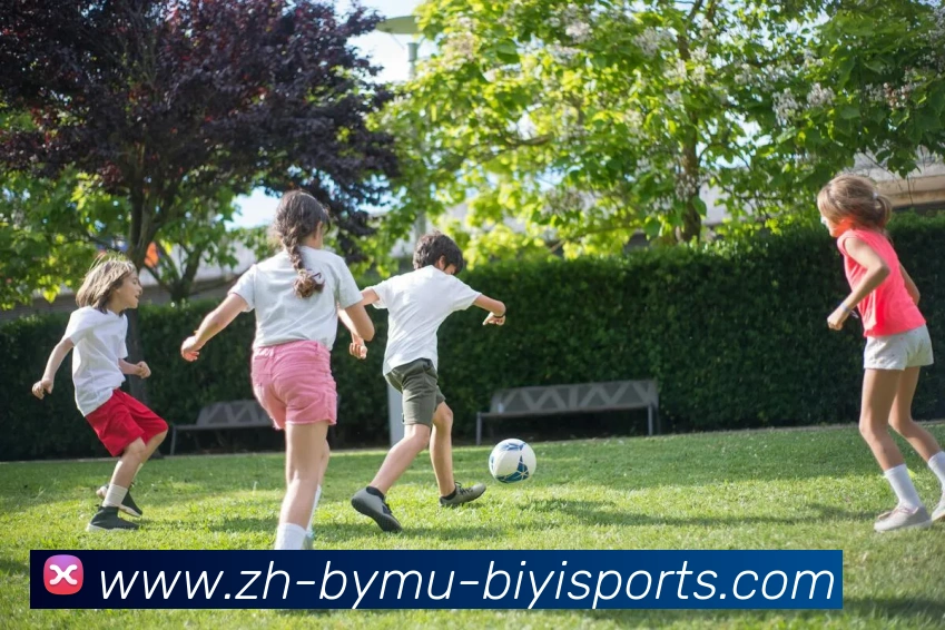 必一体育官方网站平台生态图